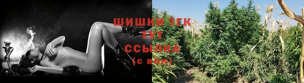 тгк Верея