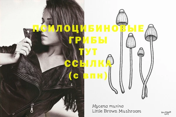 spice Верхнеуральск