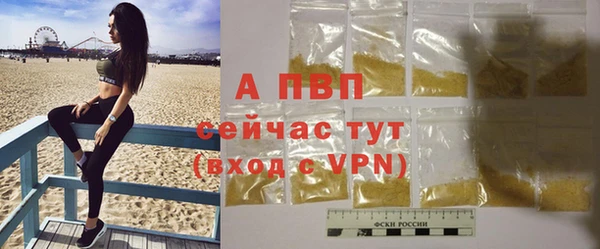 тгк Верея
