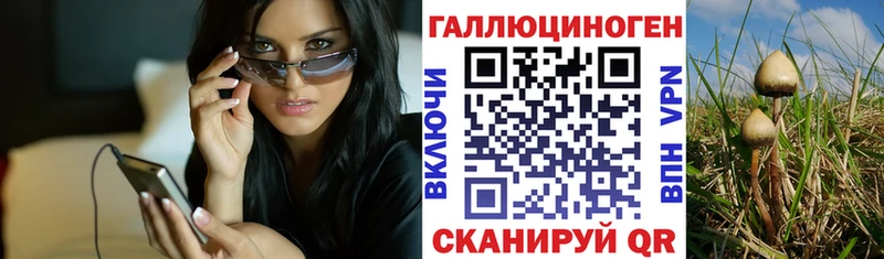 Галлюциногенные грибы MAGIC MUSHROOMS  Купить где  Луга 